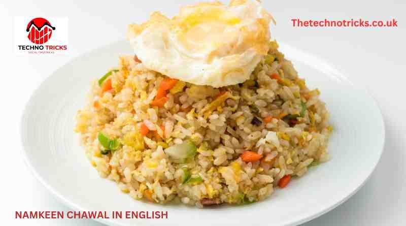 Namkeen Chawal in English