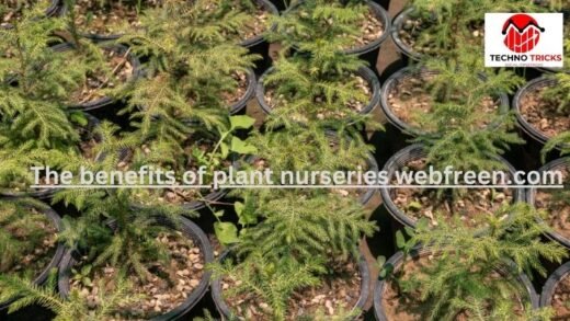 the benefits of plant nurseries webfreen.com