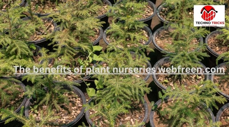 the benefits of plant nurseries webfreen.com