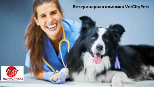 Ветеринарная клиника VetCityPets