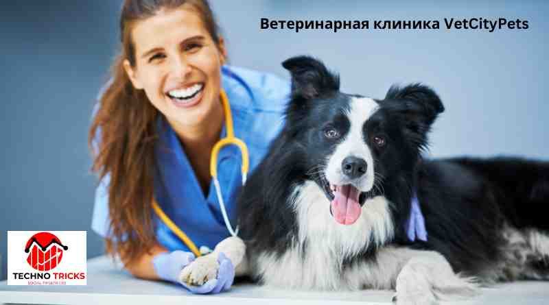 Ветеринарная клиника VetCityPets