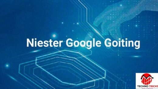 Niester Google Goiting